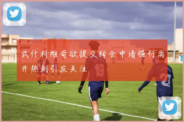 武什科维奇欲提交转会申请强行离开热刺引发关注